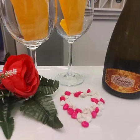 费鲁奇酒店 酒店