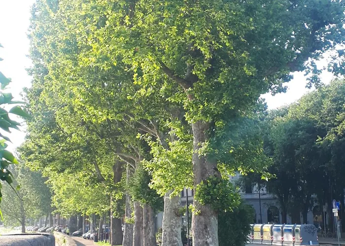 酒店 费鲁奇酒店