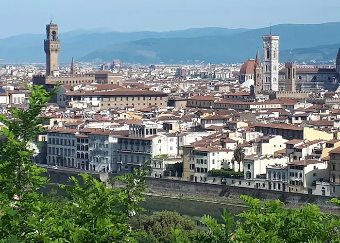 酒店 费鲁奇酒店 3*