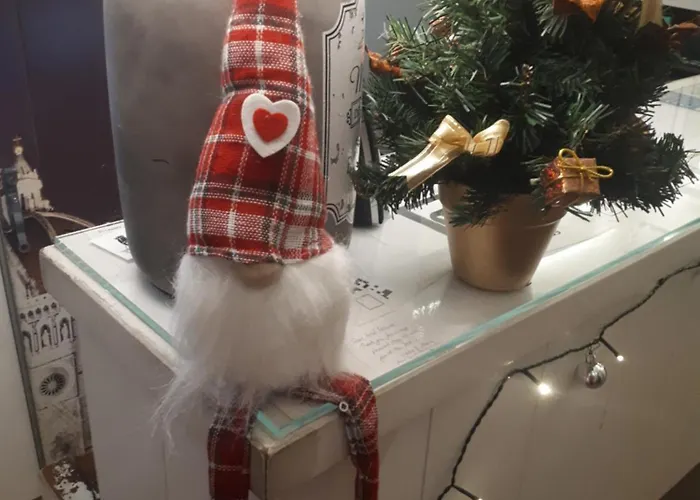 酒店 费鲁奇酒店 3*