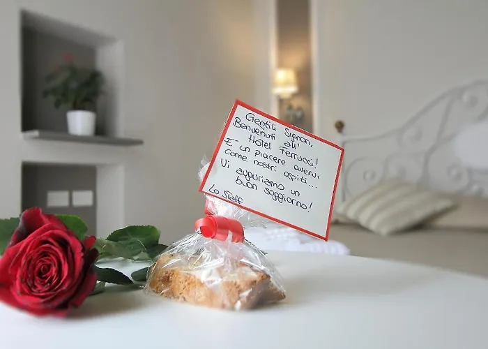 费鲁奇酒店 佛罗伦萨