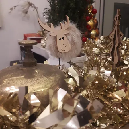 Ferrucci فندق 3*